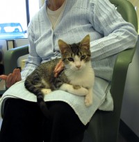 Carter & grandmother @ Happy Cats Haven