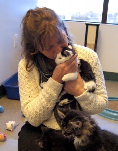 Sue & her foster kittens