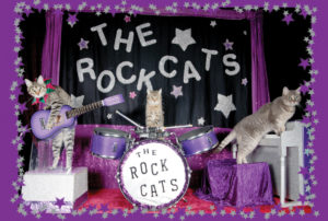 RockCats