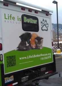 Life is Better Rescue van