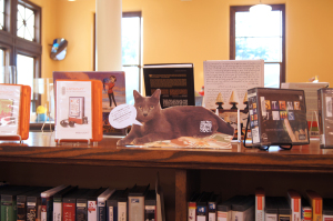 Xander at Old Colorado City Library