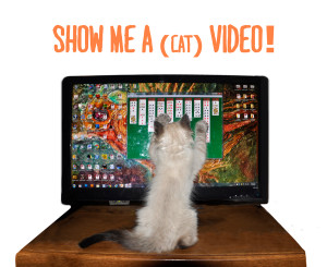 Show Me a Video!