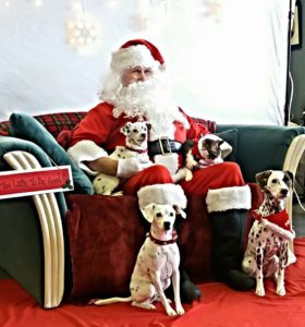 Santa Paws @ Rescued Hearts